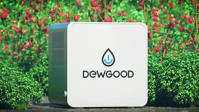 Dewgood product