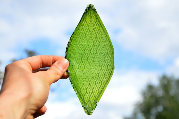 BioSolar Leaf, Arborea