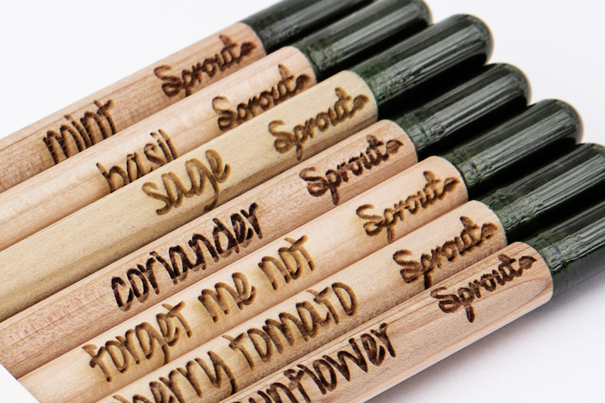 Plantable pencils challenge use-and-chuck-away culture | Design Indaba