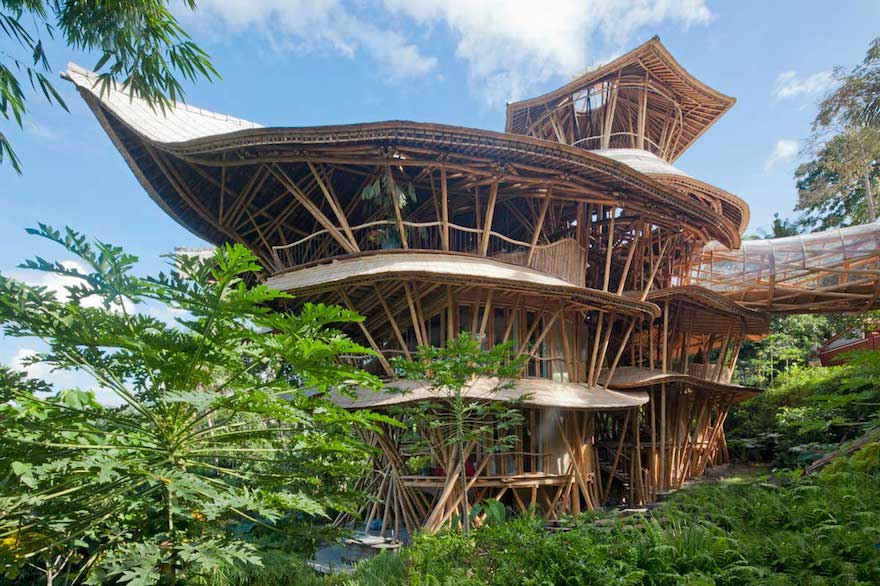 IBUKU is pioneering the use of bamboo  as a sustainable 