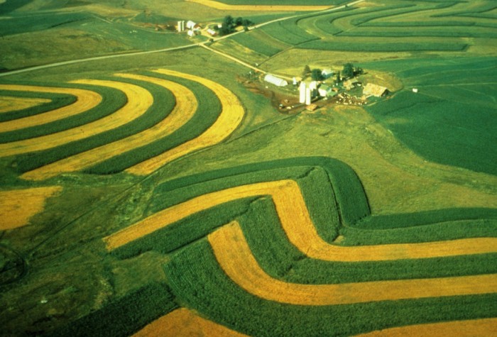 Aerial view of contour strip farming. | Picture by Wisconsin Department of Natural Resources