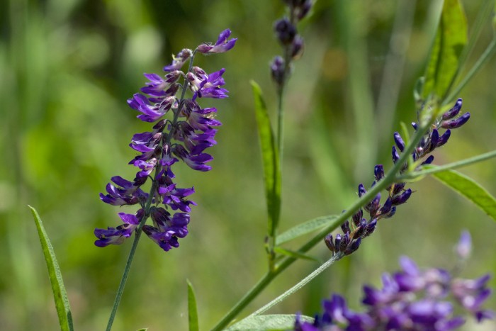 Resurrecting the Sublime  Resurrecting the Sublime